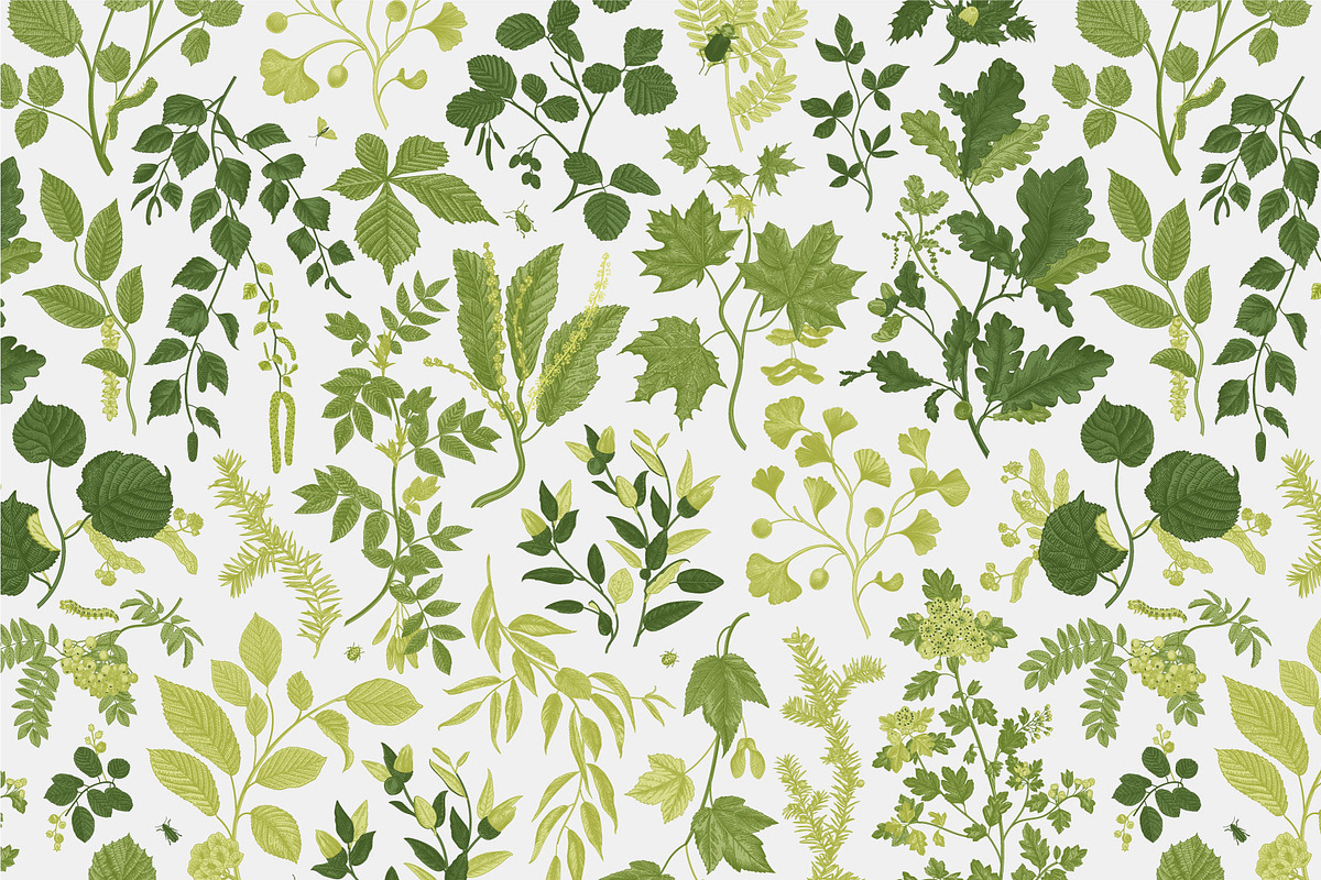 Leafy, a Decorative Illustration by olga.korneeva (Photo 8 of 16)
