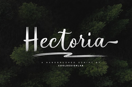 Hectoria Script, a Script Font by cooldesignlab