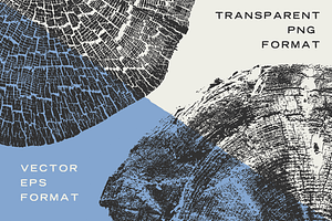 Wood Tree Ring Stump Vectors