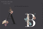 Wildflowers collage collection, a Texture Graphic by Anna Sokol (Thumbnail 6 of 21)