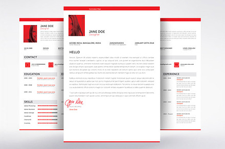 Swiss Style Minimal Resume