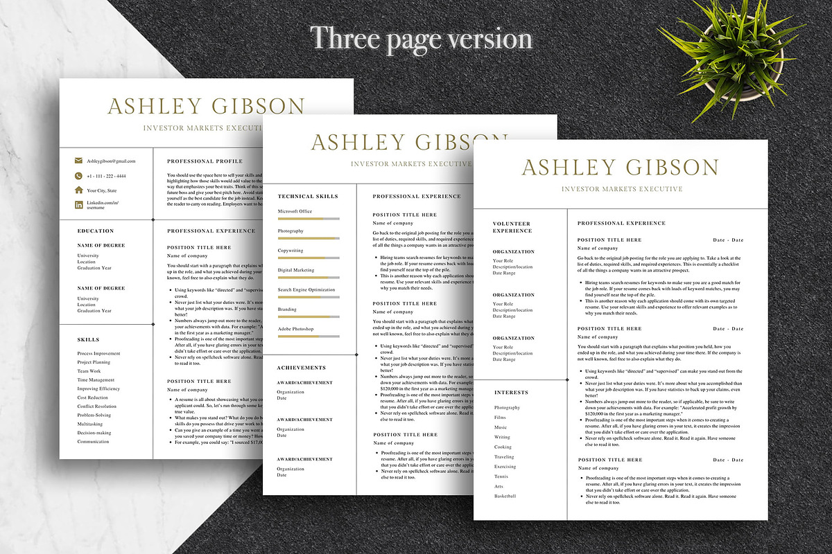 Professional Canva CV Pack | Canva, a Resume Template by Lux Resume (Photo 3 of 9)