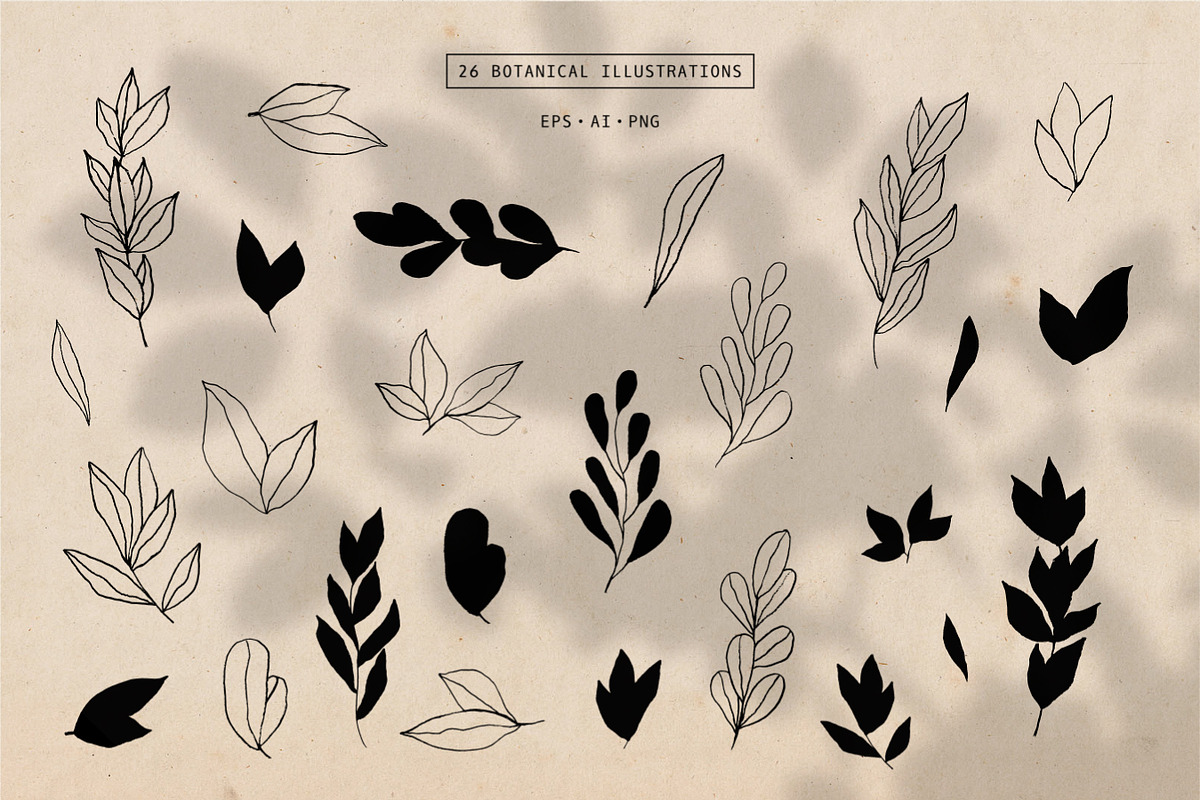Natura | Modern Graphics Set, a Background Graphic by Studio Fevrier (Photo 6 of 11)