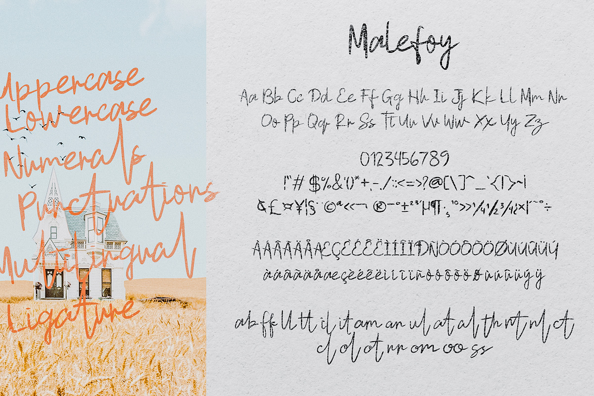 Malefoy Script Font, a Script Font by Dawnside Graphic (Photo 6 of 11)