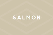 Salmon - Modern Sans Serif, a Sans Serif Font by Creative Type (Thumbnail 1 of 8)