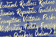 Rezojas - Bold Script Font, a Script Font by StringLabs (Thumbnail 10 of 13)