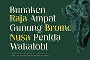 Ventura - Serif Font, a Serif Font by Alpaprana (Thumbnail 5 of 10)