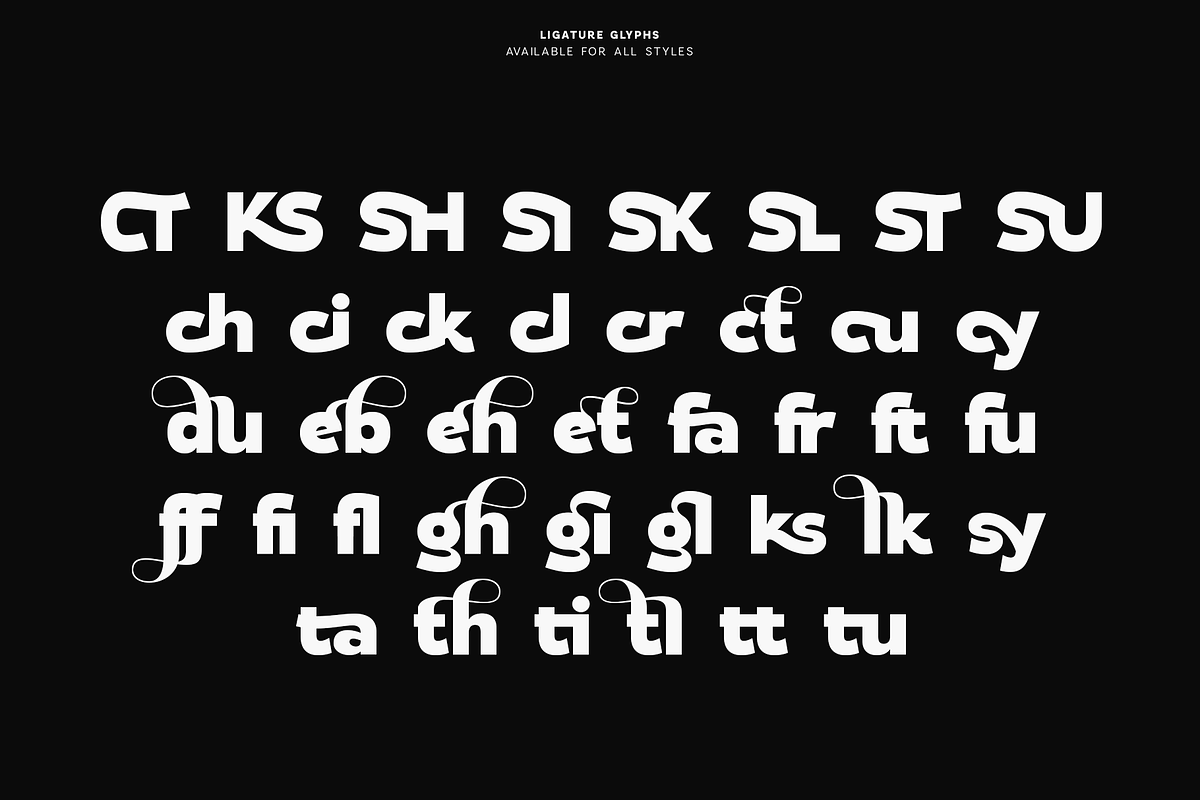 Flamor - Editorial Sans Serif Family, a Sans Serif Font by VP Fonts (Photo 19 of 23)