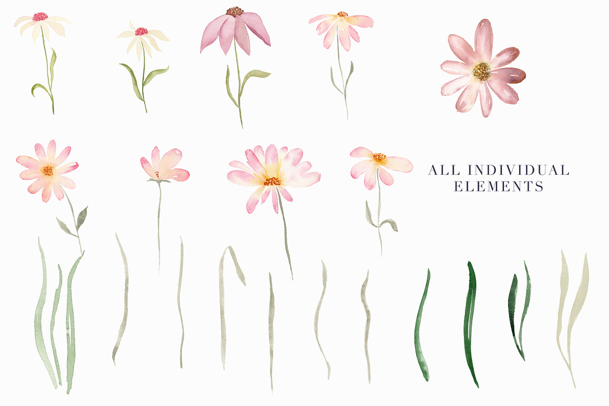 Daisy Belle - Watercolor Flowers, an Illustration by The Autumn Rabbit Ltd (Photo 5 of 6)