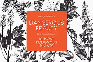 10 Most Poisonous Plants. Vector Set