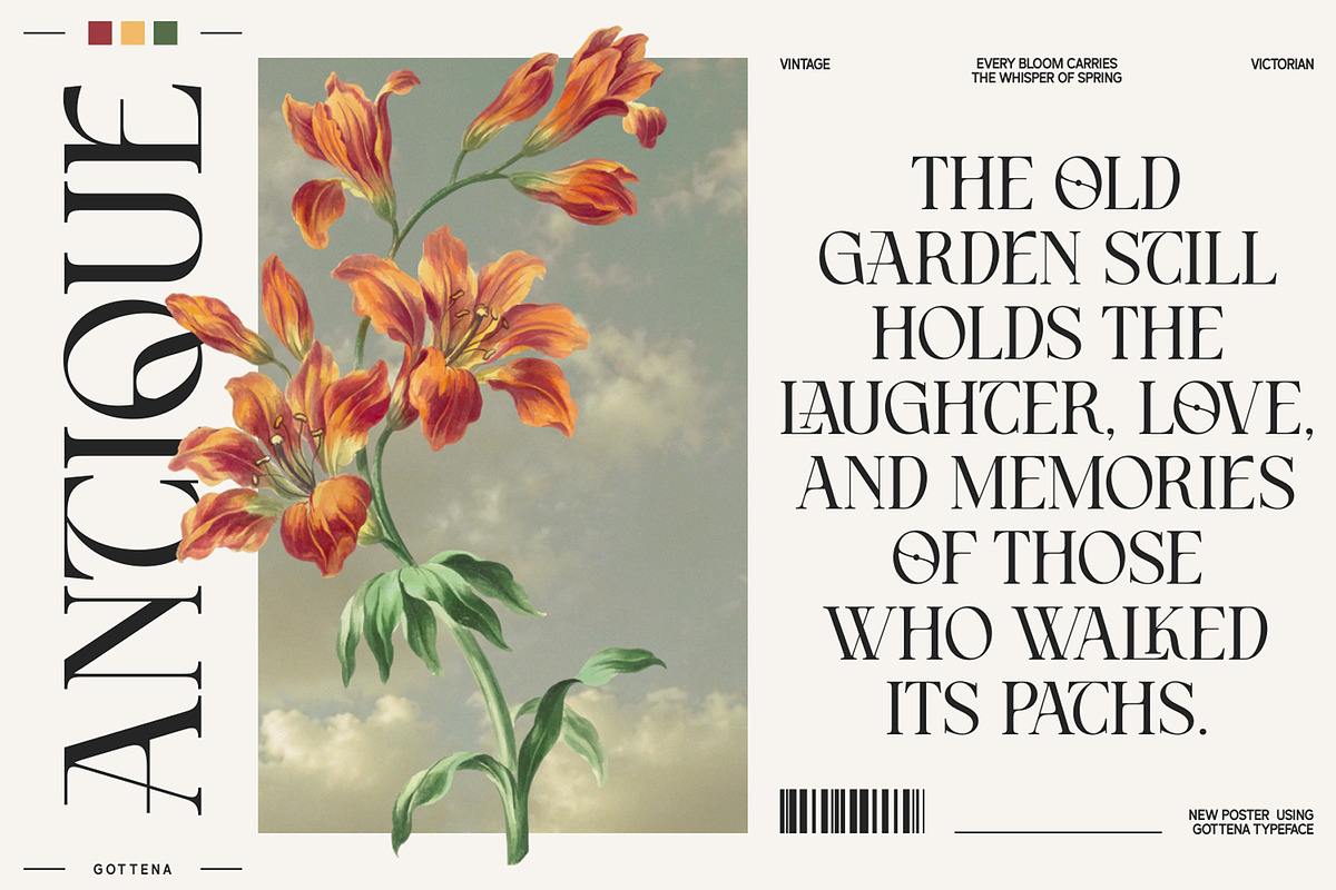 Atteliora Elegant Serif Font, a Serif Font by Heinzel Std (Photo 3 of 13)