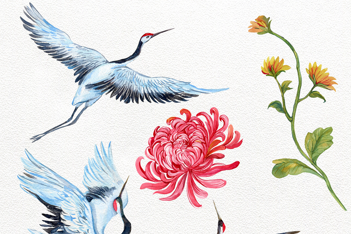 Cranes watercolor clipart, a Decorative Illustration by MitrushovaArt (Photo 2 of 7)