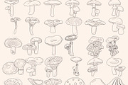 Mushrooms Digital Stamps, a Graphic by Favorites_Art (Thumbnail 6 of 15)
