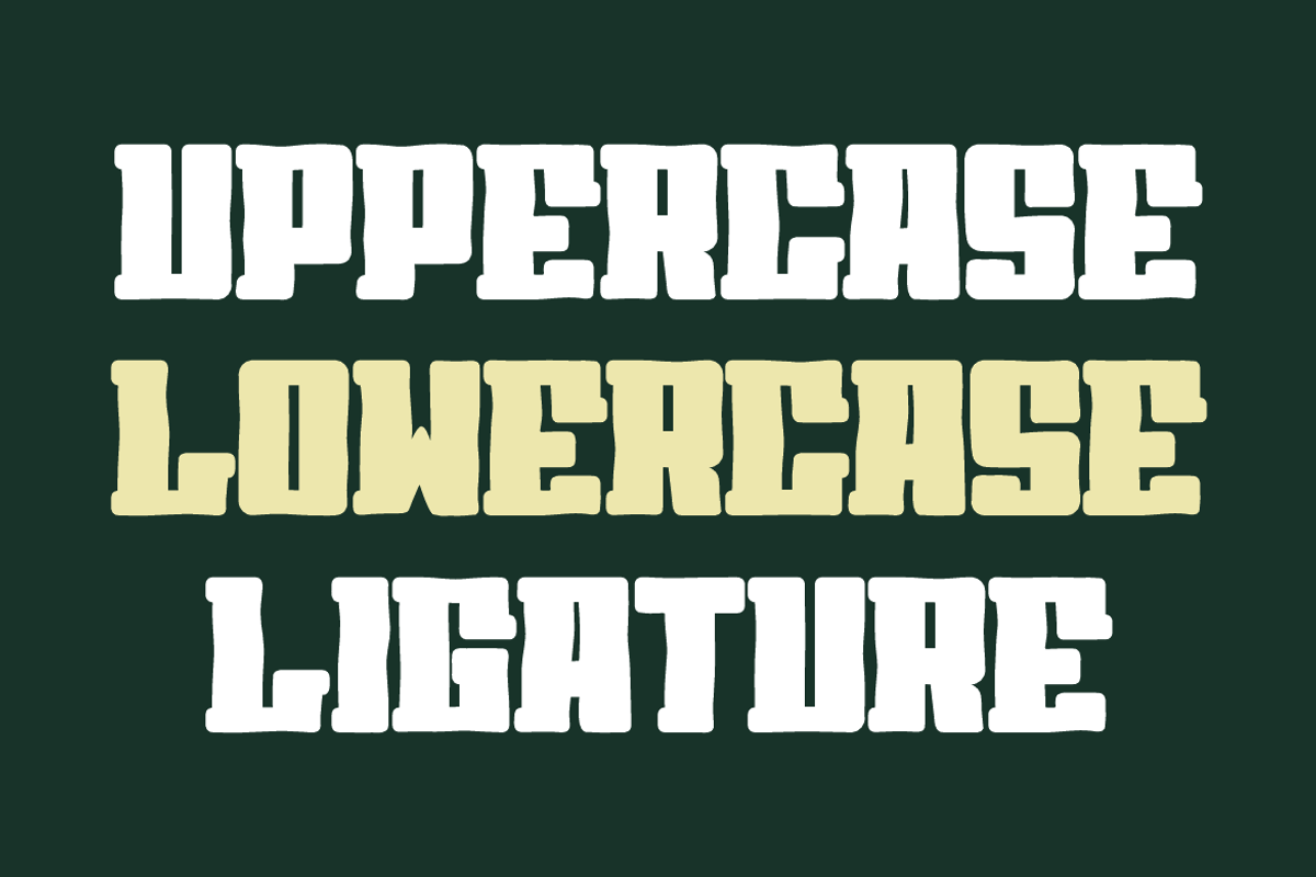 Sport Sobenor Brush, a Handwritten Font by QR Design Studio (Photo 2 of 8)