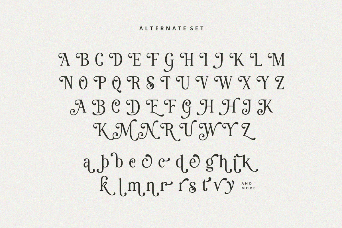 History Nineties Font, a Serif Font by HansCo Studio (Photo 10 of 11)