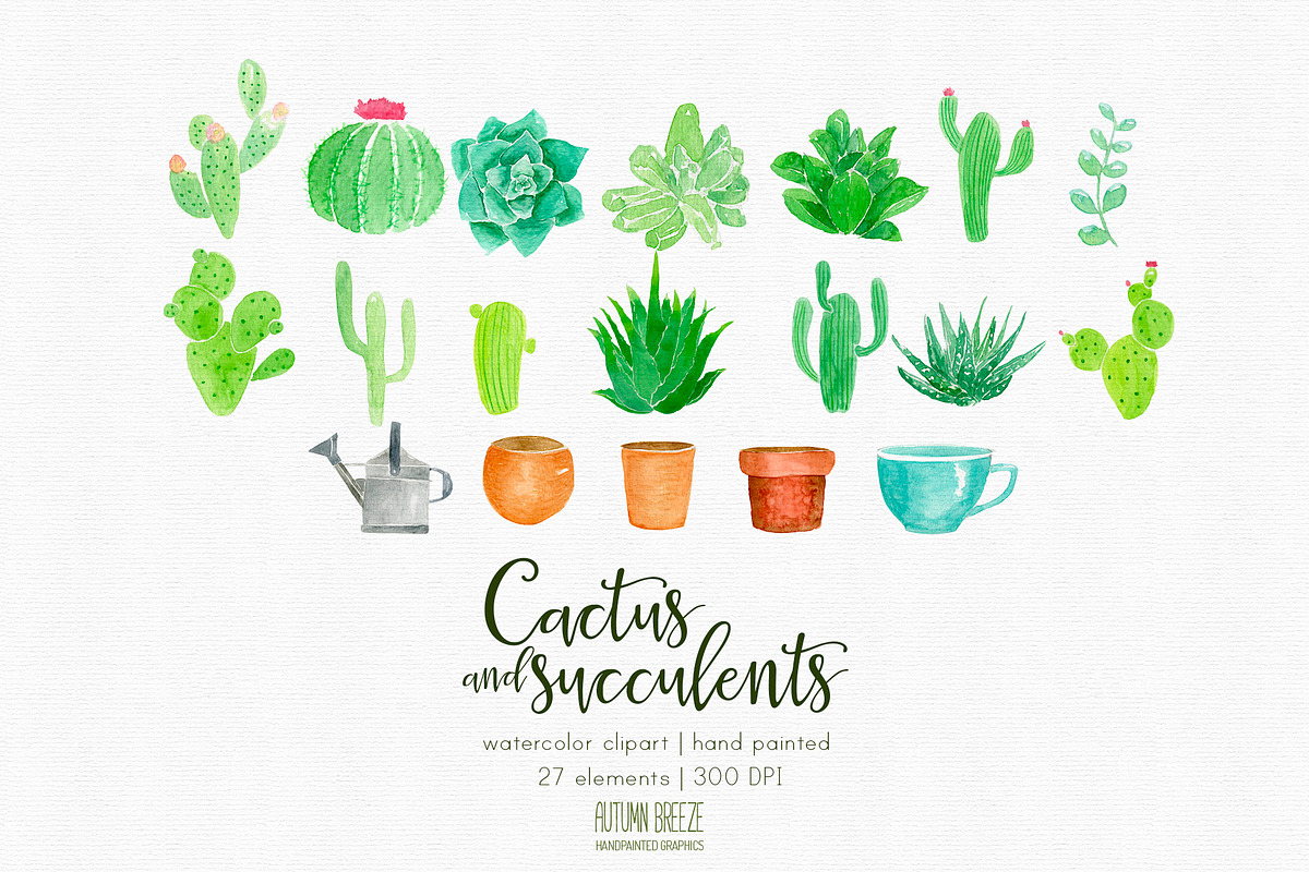 watercolor  CXactus and succulents, a Decorative Illustration by Autumn Breeze (Photo 2 of 3)