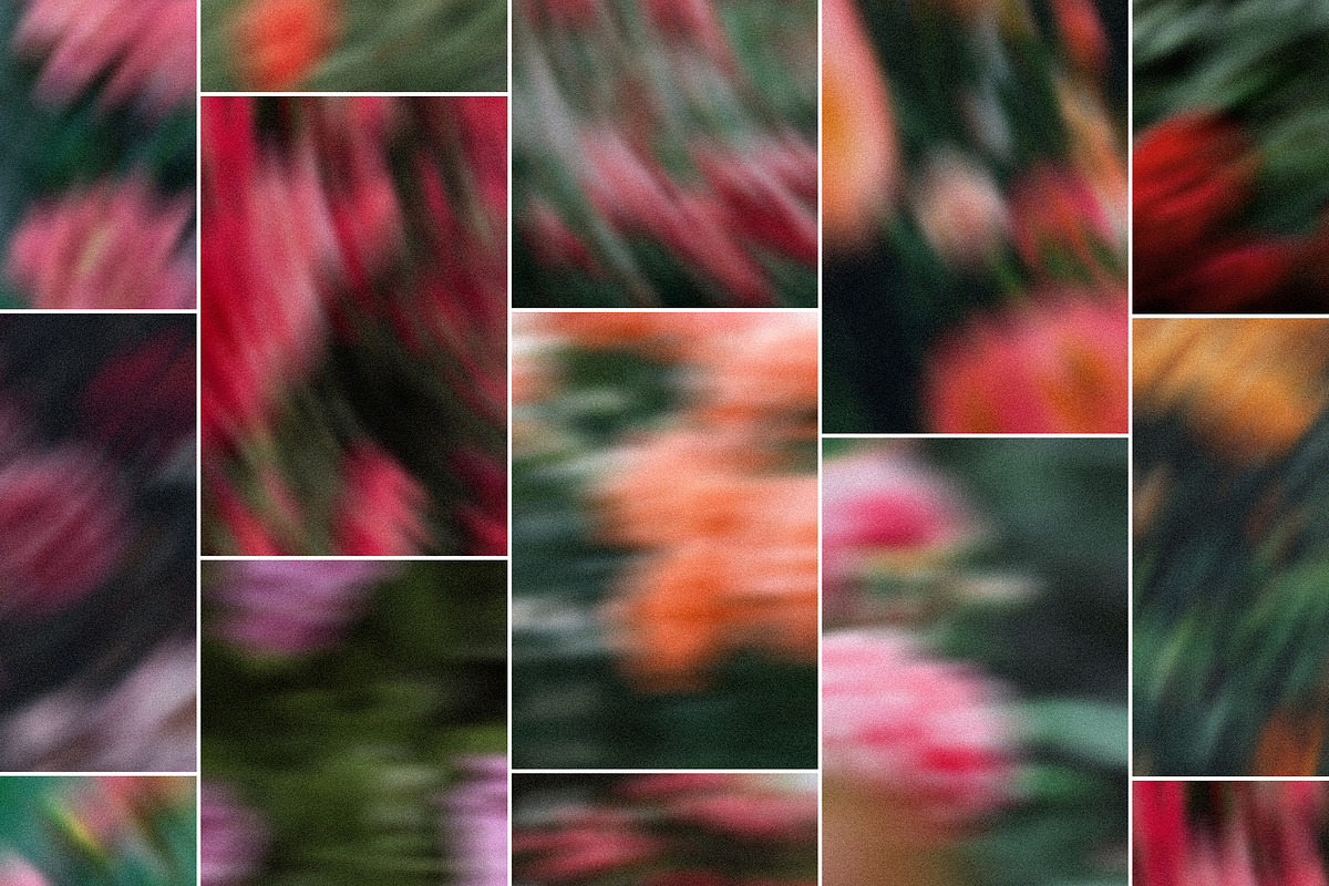 Drifting Blooms, a Background Graphic by Dina Mae (Photo 8 of 12)