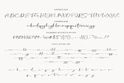 Grotesque Script, a Script Font by Artic Type (Thumbnail 7 of 8)