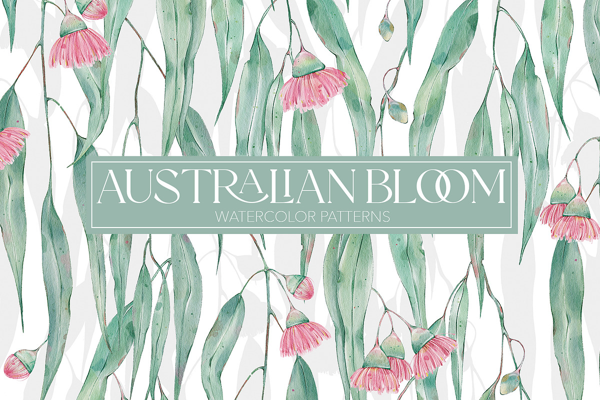 Australian Bloom Seamless Patterns, a Pattern Graphic by Alisa Fimen Design (Photo 1 of 8)