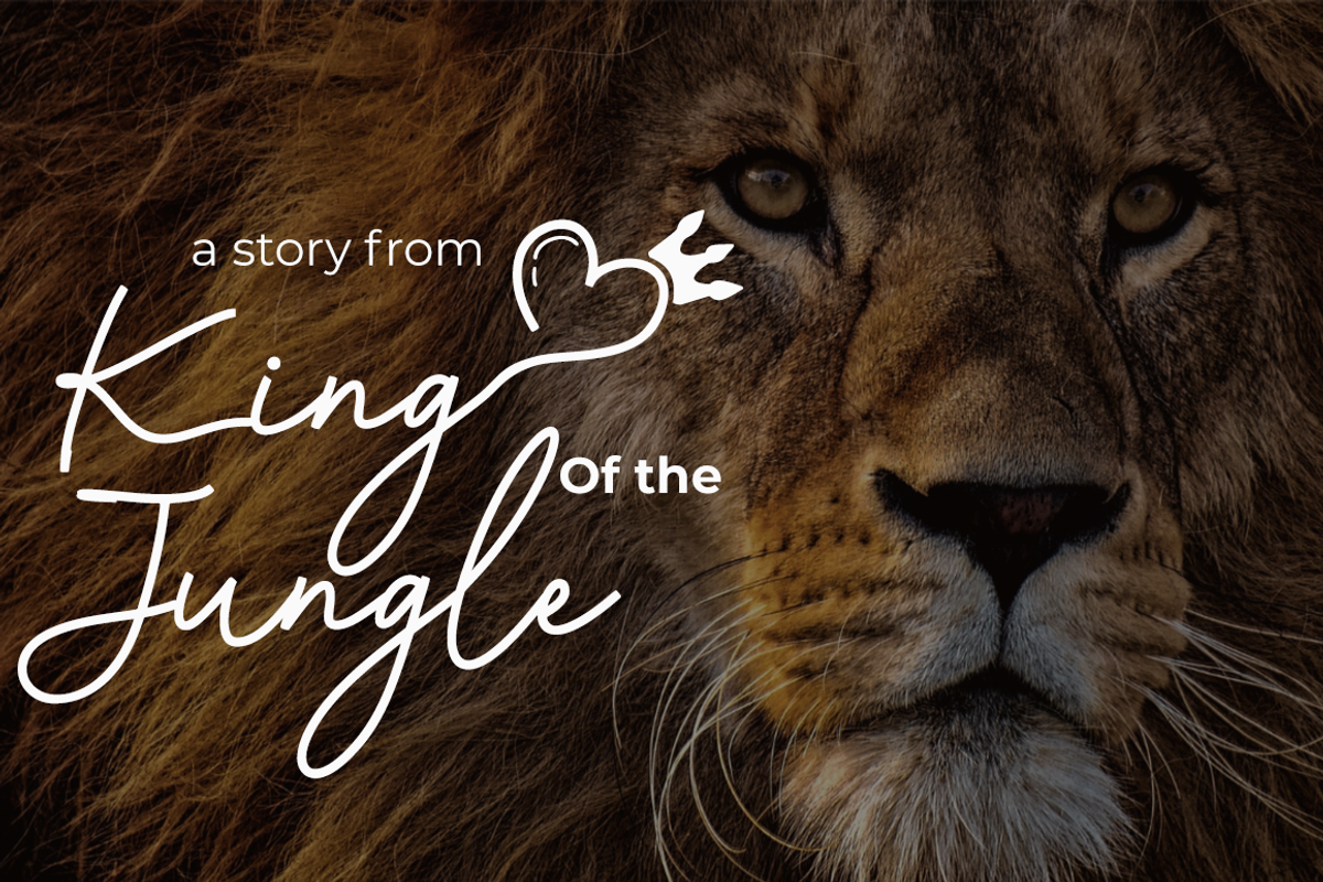 King and Queen, a Script Font by cocodesign (Photo 4 of 9)