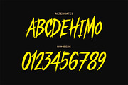 Profane - Brush Font, a Script Font by Tugcu Design Co. (Thumbnail 3 of 3)