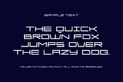 Celestia Display Font, a Sans Serif Font by alpercakici (Thumbnail 4 of 8)
