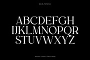 Regis | Elegant Serif Font Family, a Serif Font by Type and Co. (Thumbnail 8 of 20)