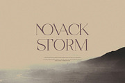 Rostedik – Modern Display Serif Font, a Serif Font by BrandSemut (Thumbnail 3 of 8)