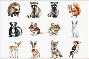 Watercolor Forest Animals - Woodland, an Illustration by Sublimation Artist (Thumbnail 3 of 6)