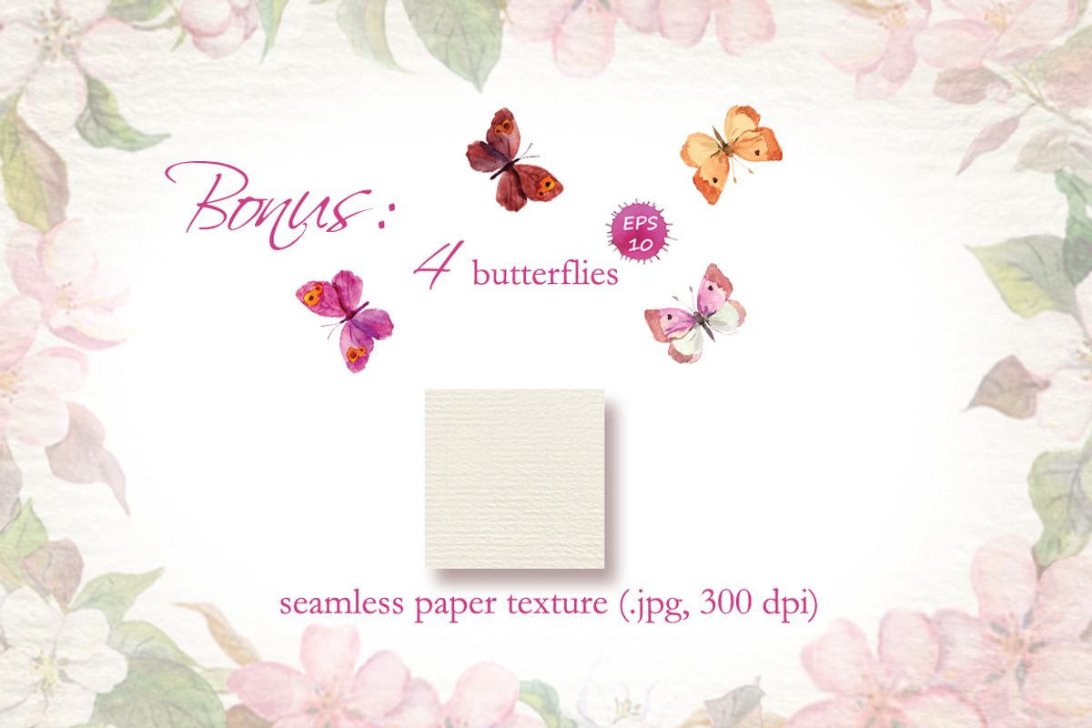 Apple flowers set. Watercolor vector, an Illustration by Where summer is (Photo 5 of 5)