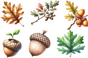 Watercolor Acorns & Oak Leaves PNG, an Illustration by Designking (Thumbnail 2 of 4)
