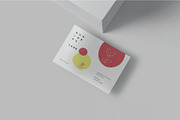 EU Transparent Business Card Mockups, an Advertising Mockup by megostudi0 (Thumbnail 4 of 6)