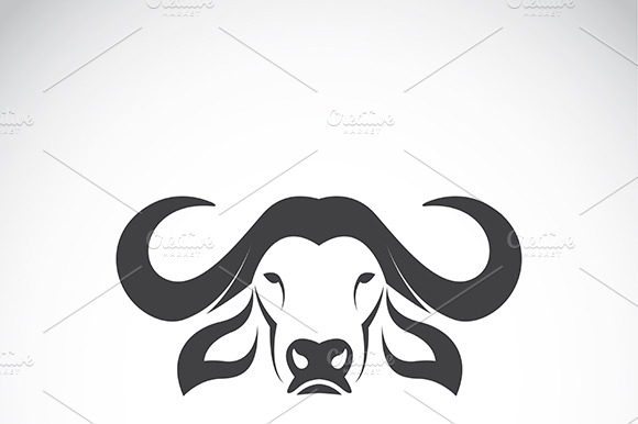 Vector Of A Buffalo Head. Animals.