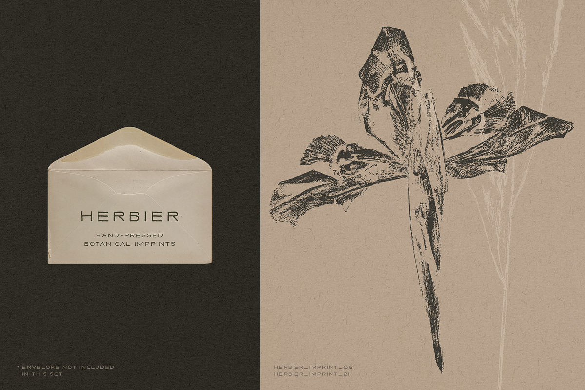 Hand-Pressed Botanical Imprints, an Object Graphic by alonahaidash (Photo 4 of 13)