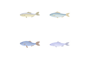 Cod fish icons set cartoon vector, an Animal Illustration by Ylivdesign