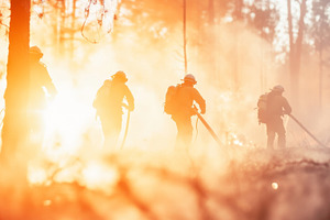 Firefighters walking through forest in early morning light, atmo, a Photo by Dvoevnore photos