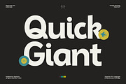 GC Ralinka – Confident Sans Form, a Sans Serif Font by Glyphonic (Thumbnail 6 of 16)