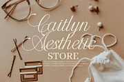 Amerys Wedding Script Font, a Script Font by Elegant Font (Thumbnail 4 of 9)