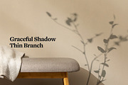 Plant Shadow Backdrops Video Bundle, a Mockup by rebrandy (Thumbnail 11 of 24)