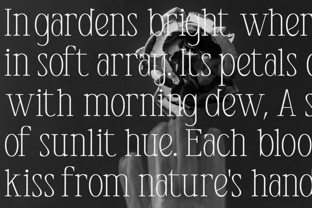 Anyelir Display - Condensed Serif, a Serif Font by Magnolitype (Photo 5 of 21)