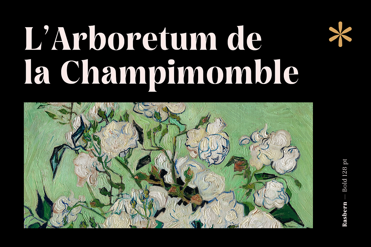 Rasbern — 18 Fonts, a Serif Font by Nasir Udin (Photo 12 of 17)