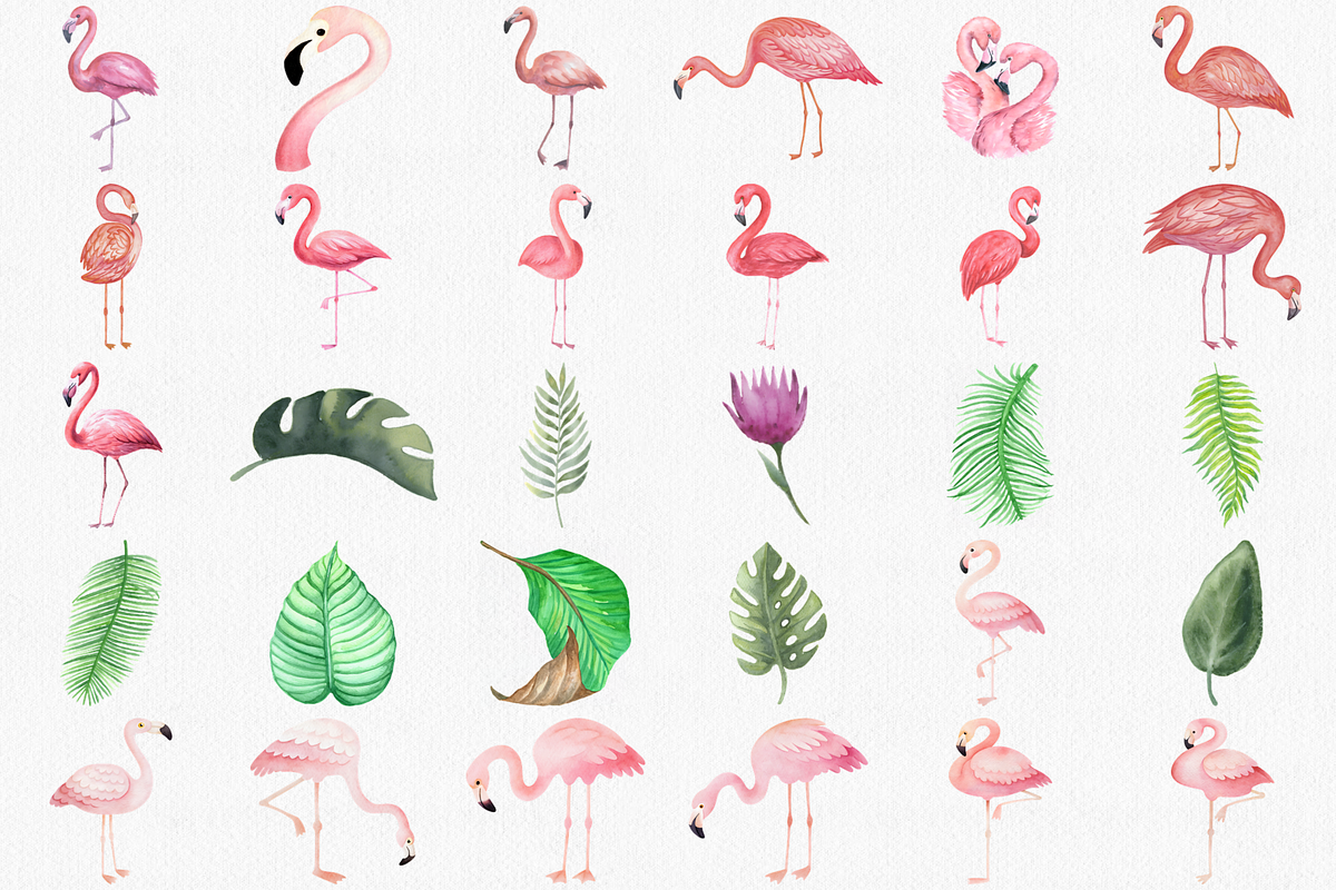 Watercolor Flamingo Clipart Set, an Animal Illustration by CropUp Creative (Photo 2 of 4)