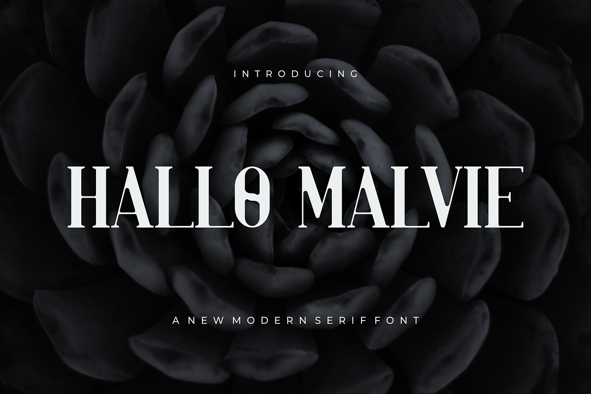 Hallo Malvie - Font, a Serif Font by artchiles_design (Photo 1 of 5)
