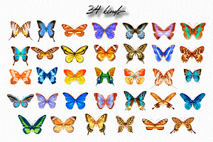 34 Butterflies - Vector Watercolor