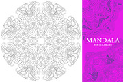 Mandalas for coloring 14, an Object Graphic by Watercolor fantasy (Thumbnail 5 of 9)