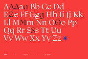 Beth - Intro Family 60% off, a Serif Font by Latinotype (Thumbnail 6 of 17)
