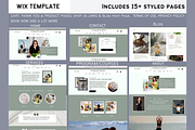 Wix health coach website template, a Wix Template by Climbwithelevator (Thumbnail 5 of 8)