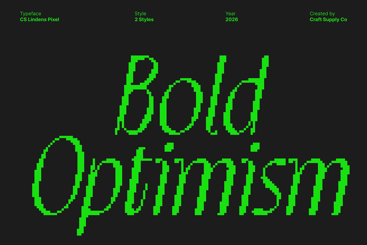 CS Lindens Pixel, a Sans Serif Font by Craft Supply Co. (Photo 5 of 8)