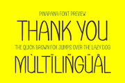 PinaPana a Fancy Handwritten Font, a Handwritten Font by Rasiorise Studio (Thumbnail 10 of 10)