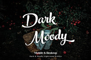 Dark & Moody Lightroom Presets, an Action Add-On by Maple Visuals (Thumbnail 1 of 9)